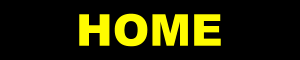 Golden Insurance Policy